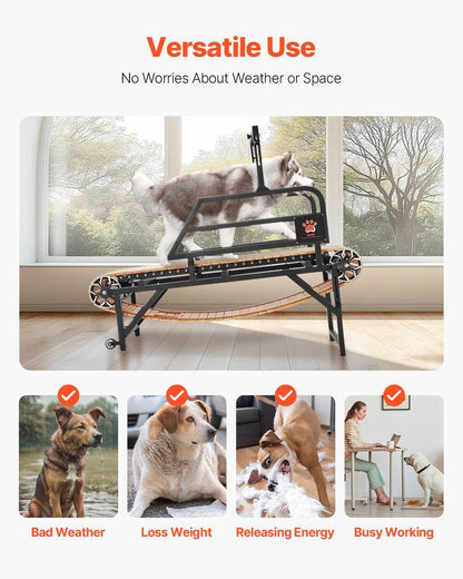 Treadmill for Large Dogs