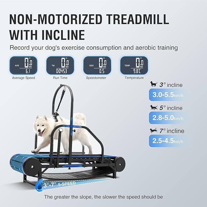 dog treadmill