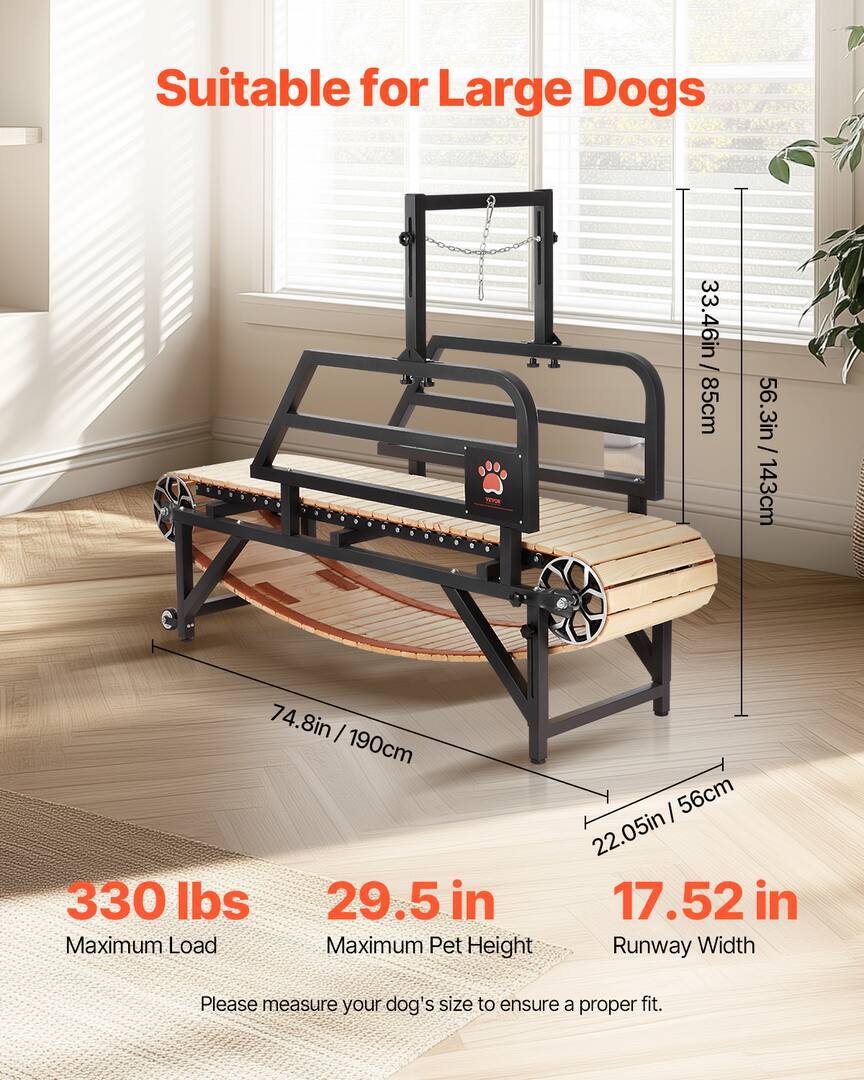 Treadmill for Large Dogs