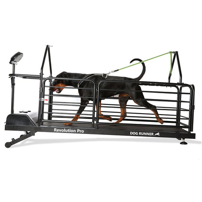 Dog Treadmill for Large Dogs