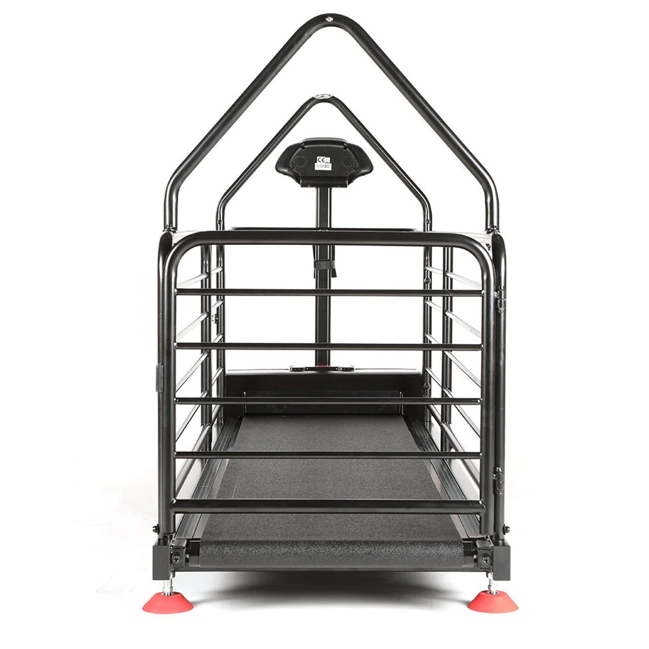 Dog Treadmill for Large Dogs