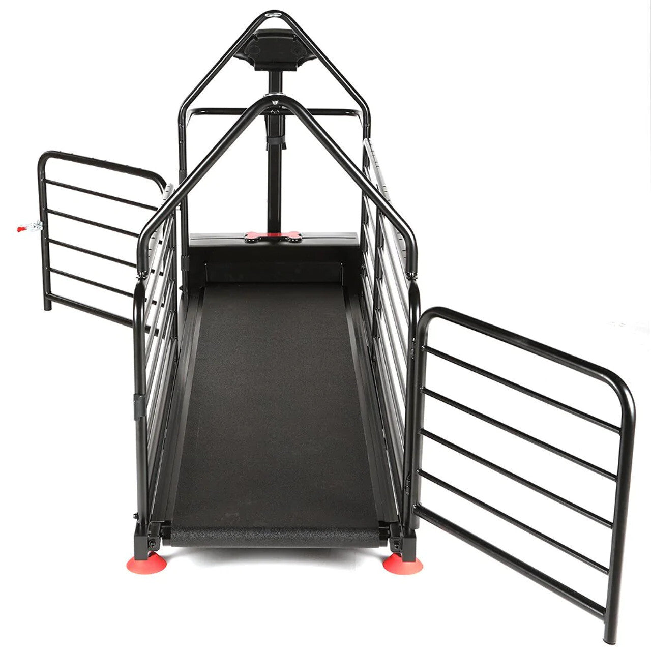 Dog Treadmill for Large Dogs