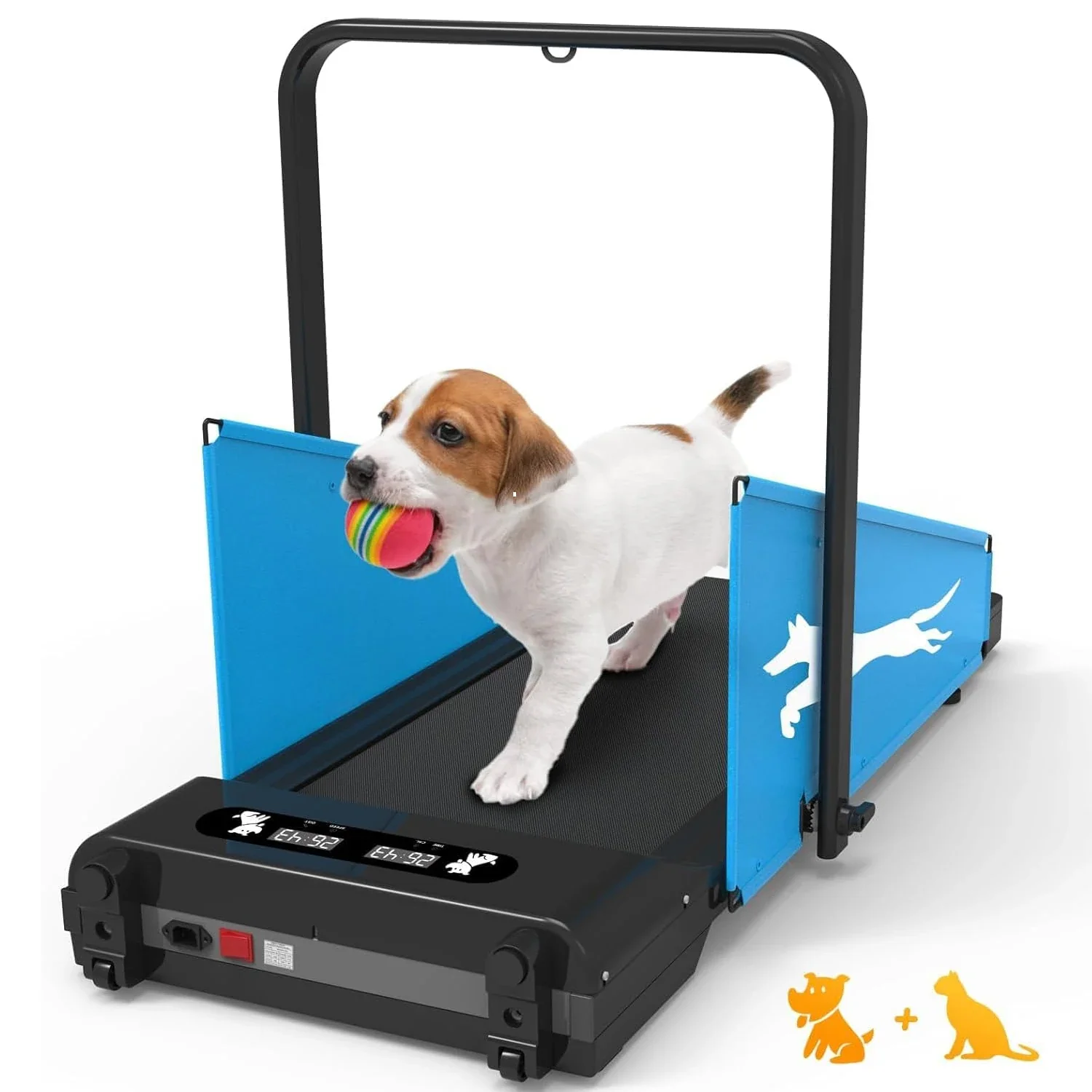 small dog treadmill